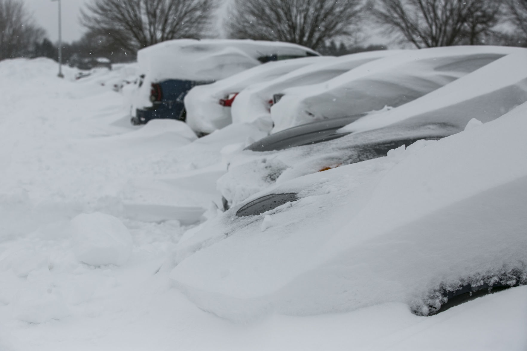 Blizzard 2